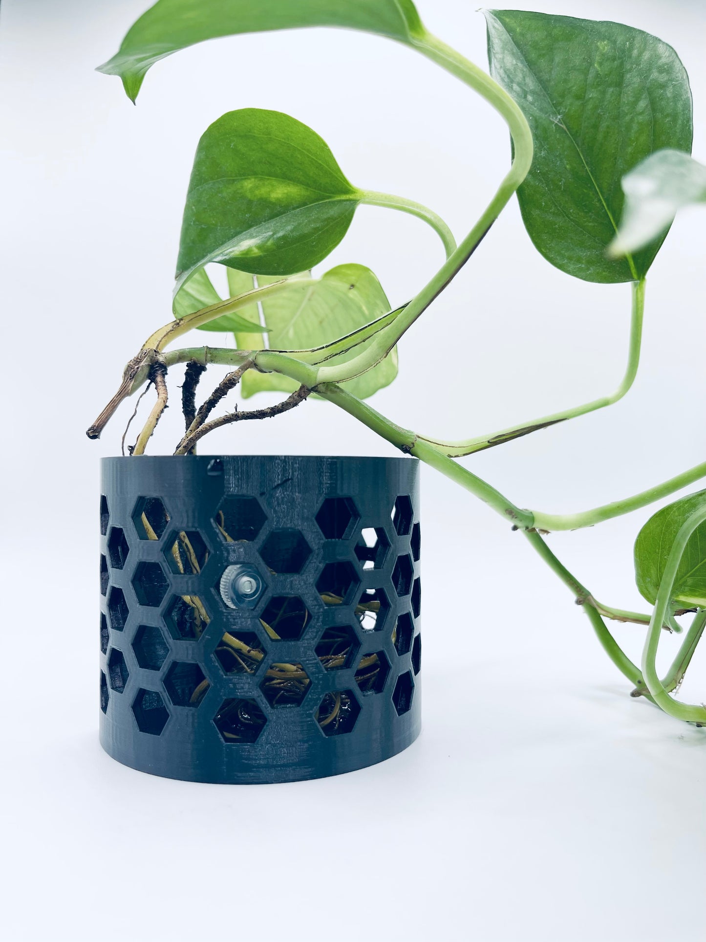 Root Rangler – 3D Printed Aquarium Planter & Shrimp Hide | Nano Tank Decor