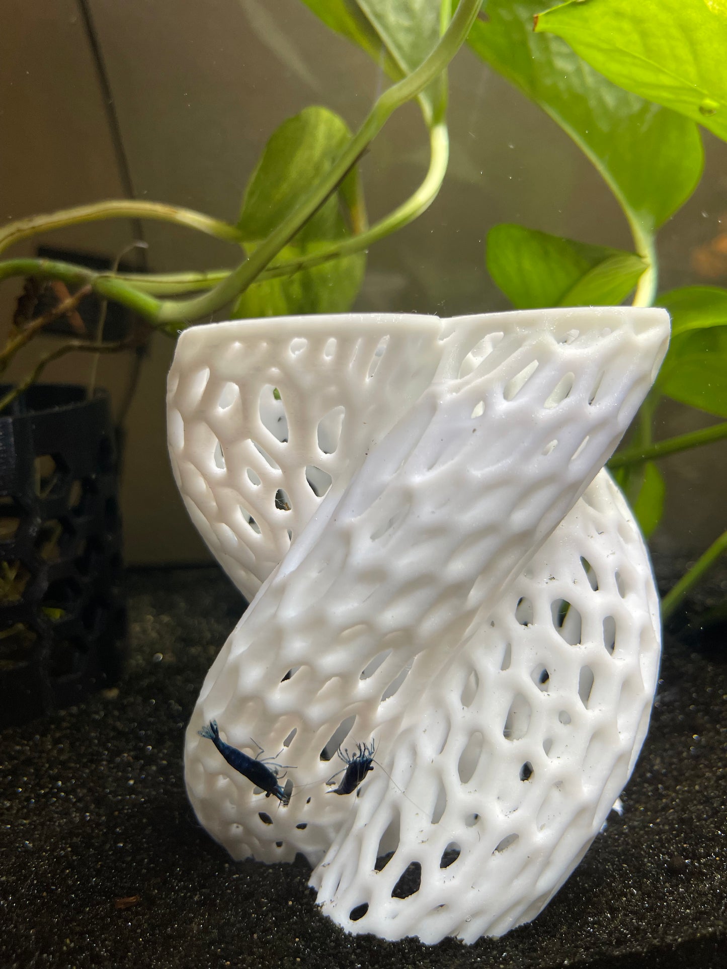 Tricove Shrimp Hide - Modern Aquarium Decorations for Nano Fish, Fry & Shrimp