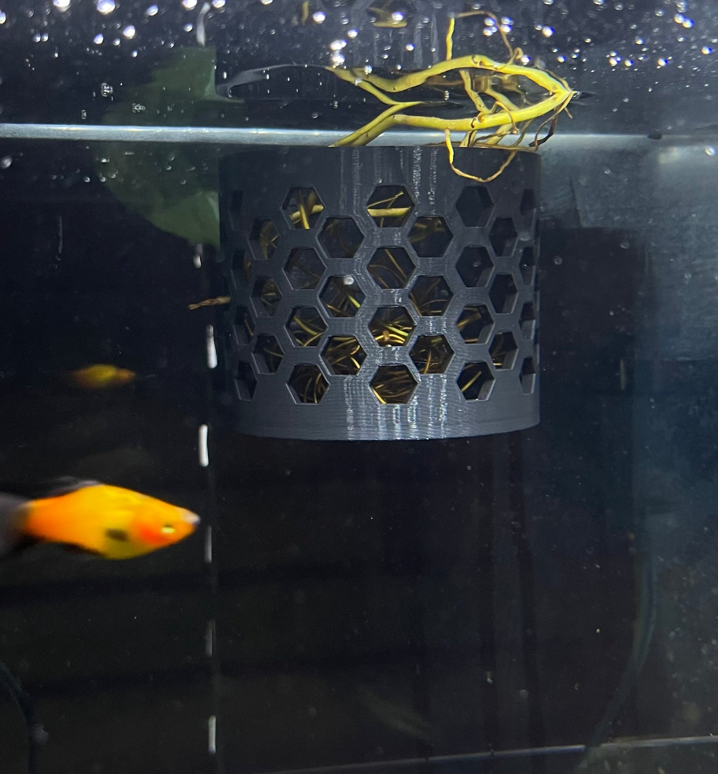 Root Rangler – 3D Printed Aquarium Planter & Shrimp Hide | Nano Tank Decor