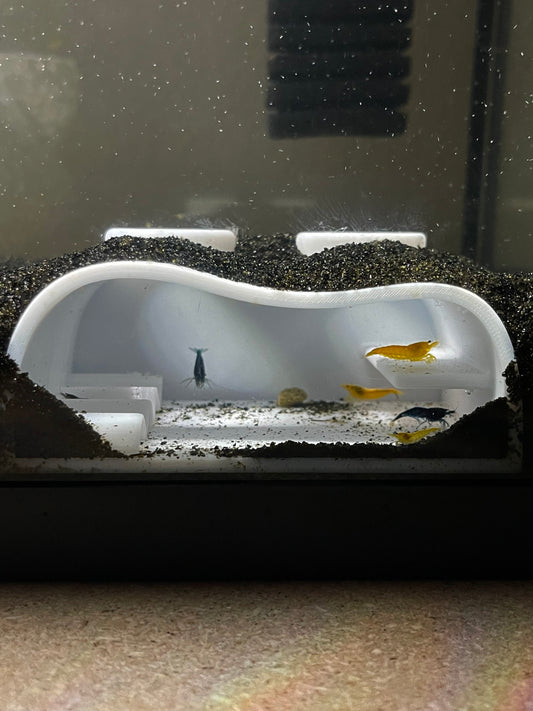 Shrimp Condo Aquarium Cave for Shrimp and Nano Fish – Modern Aquascape Decor – PETG Safe  Shrimp Hide